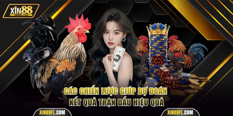 Các chiến lược giúp dự đoán kết quả trận đấu hiệu quả