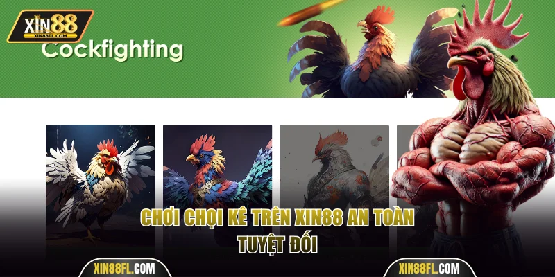 Chơi chọi kê trên Xin88 an toàn tuyệt đối