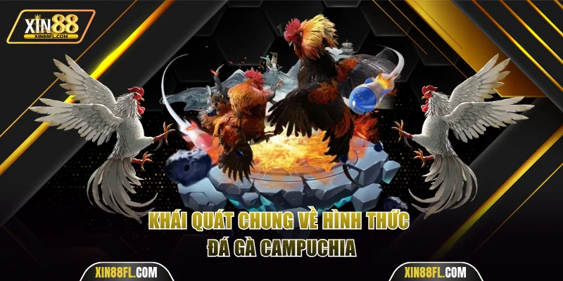 Khái quát chung về hình thức đá gà Campuchia