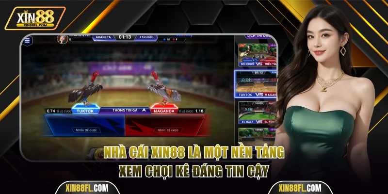 Nhà cái XIN88 là một nền tảng xem chọi kê đáng tin cậy